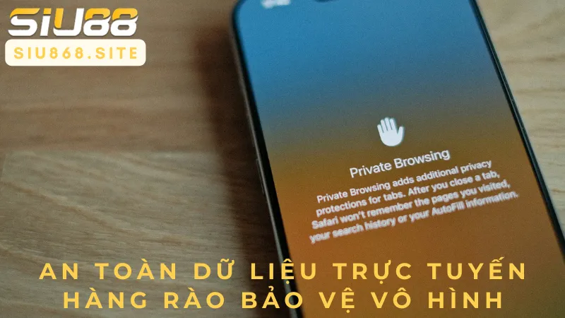 an toan du lieu truc tuyen hang rao bao ve vo hinh