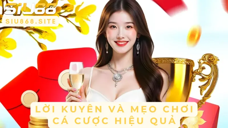 loi khuyen va meo choi ca cuoc hieu qua