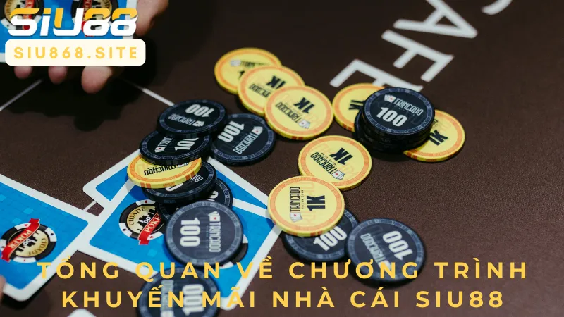 tong quan ve chuong trinh khuyen mai nha cai siu88
