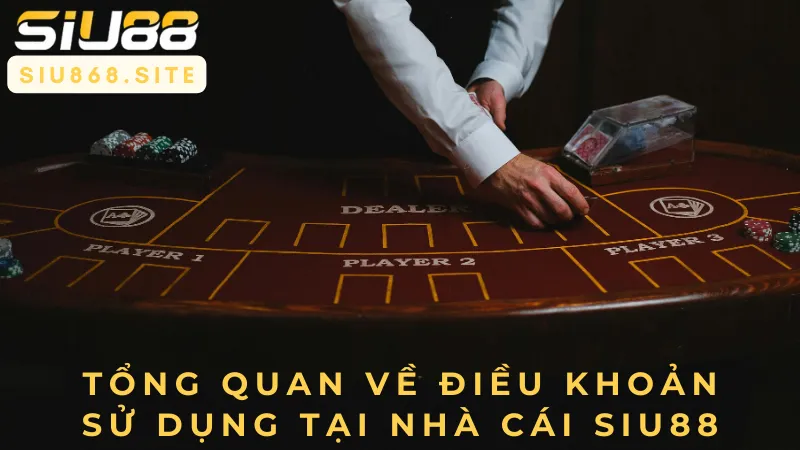 Điều khoản và điều kiện – Hướng dẫn chi tiết cho người chơi tại SIU88 1 tong quan ve dieu khoan su dung tai nha cai siu88