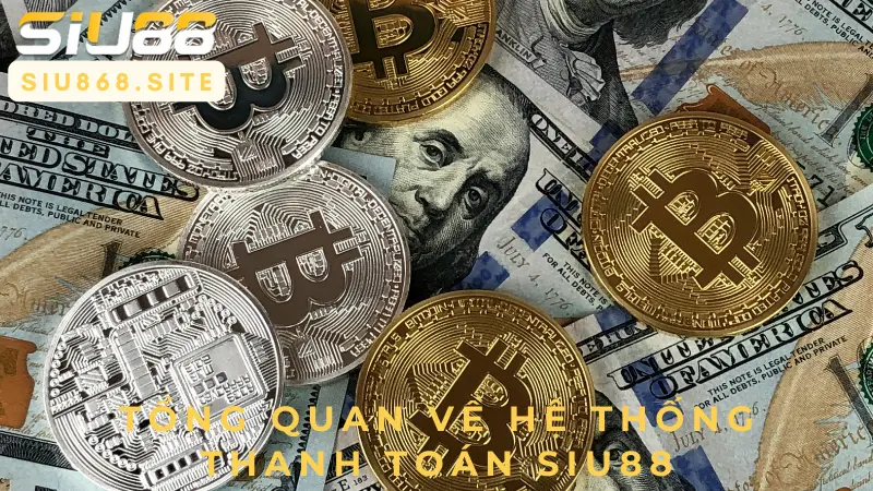 tong quan ve he thong thanh toan siu88