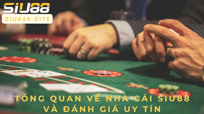 tong quan ve nha cai siu88 va danh gia uy tin
