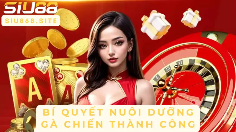 bi quyet nuoi duong ga chien thanh cong
