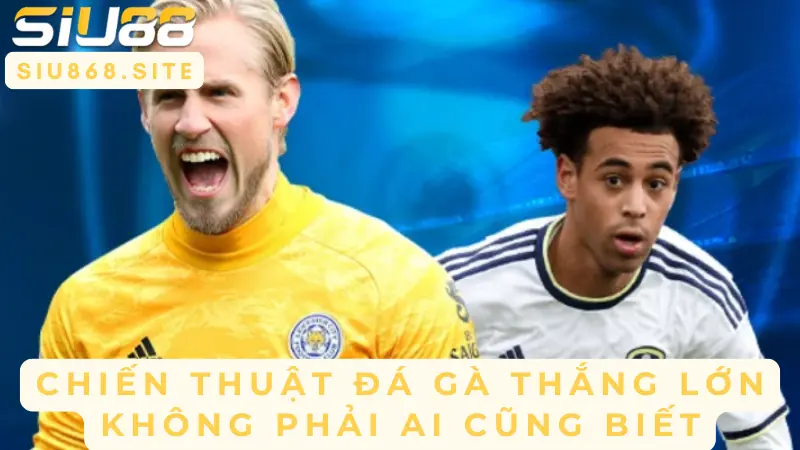 chien thuat da ga thang lon khong phai ai cung biet