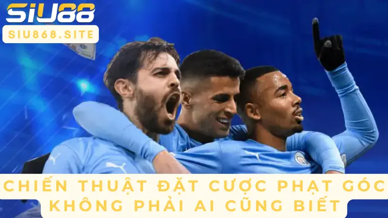 chien thuat dat cuoc phat goc khong phai ai cung biet