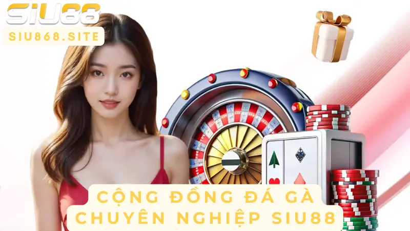 Đá Gà Lai Mỹ SIU88 – Đỉnh Cao Nghệ Thuật Chiến Đấu 5 cong dong da ga chuyen nghiep siu88