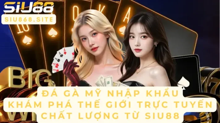 da ga my nhap khau kham pha the gioi truc tuyen chat luong tu siu88