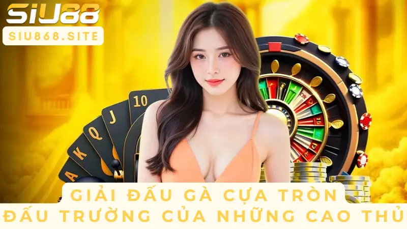 Khám Phá Thế Giới Đá Gà Cựa Tròn – Nơi Hội Tụ Những Chiến Kê Đỉnh Cao 3 giai dau ga cua tron dau truong cua nhung cao thu