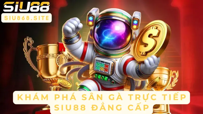 kham pha san ga truc tiep siu88 dang cap