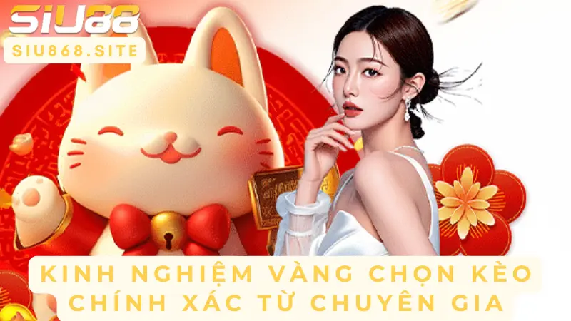 kinh nghiem vang chon keo chinh xac tu chuyen gia