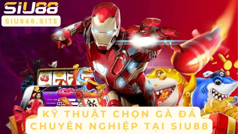 ky thuat chon ga da chuyen nghiep tai siu88