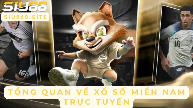 tong quan ve xo so mien nam truc tuyen
