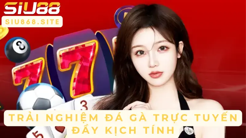 Khám Phá Thế Giới Đá Gà Cựa Tròn – Nơi Hội Tụ Những Chiến Kê Đỉnh Cao 4 trai nghiem da ga truc tuyen day kich tinh