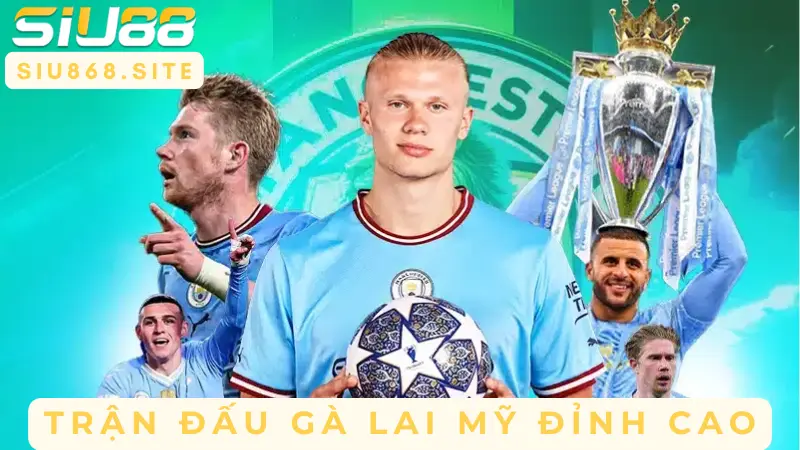 Đá Gà Lai Mỹ SIU88 – Đỉnh Cao Nghệ Thuật Chiến Đấu 4 tran dau ga lai my dinh cao