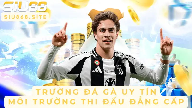 truong da ga uy tin moi truong thi dau dang cap