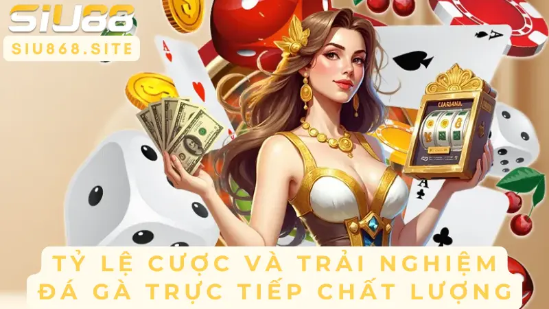 Đá Gà Tre Tốc Chiến – Khám Phá Sân Chơi Đỉnh Cao Cùng SIU88 3 ty le cuoc va trai nghiem da ga truc tiep chat luong